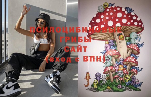 спиды Волосово