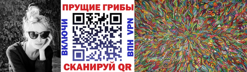 Галлюциногенные грибы GOLDEN TEACHER  где найти   Тейково 